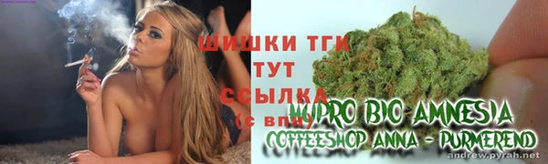 крисы Кинешма