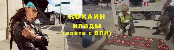 крисы Кинешма