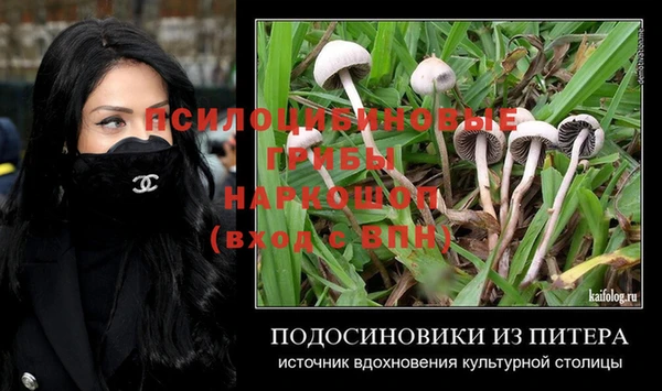 крисы Кинешма