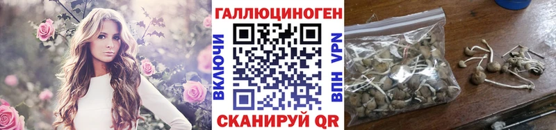 наркотики  Ялта  Галлюциногенные грибы Magic Shrooms 
