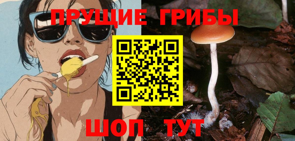 Галлюциногенные грибы прущие грибы  Вход с VPN  Ялта 